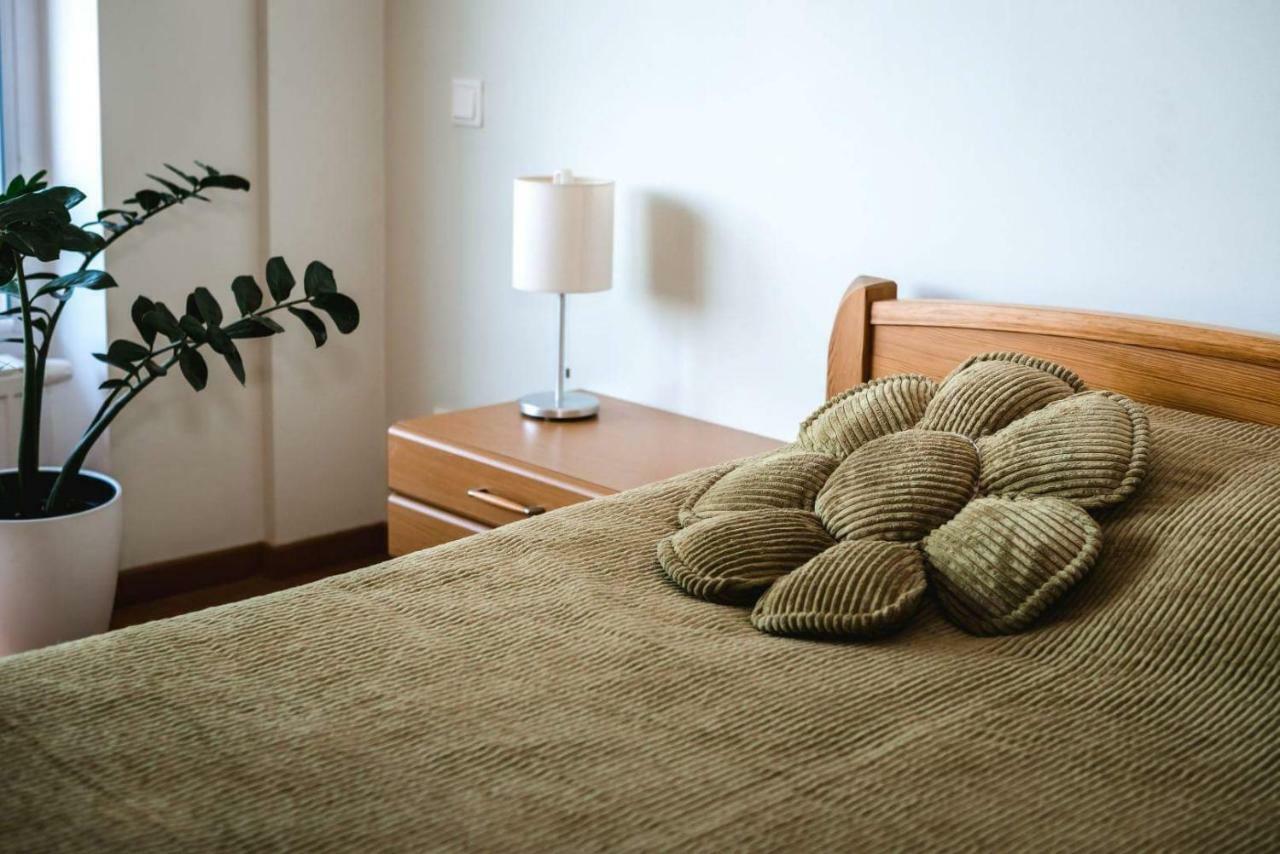 New Apartament Very Close To The City Centre 维尔纽斯 外观 照片