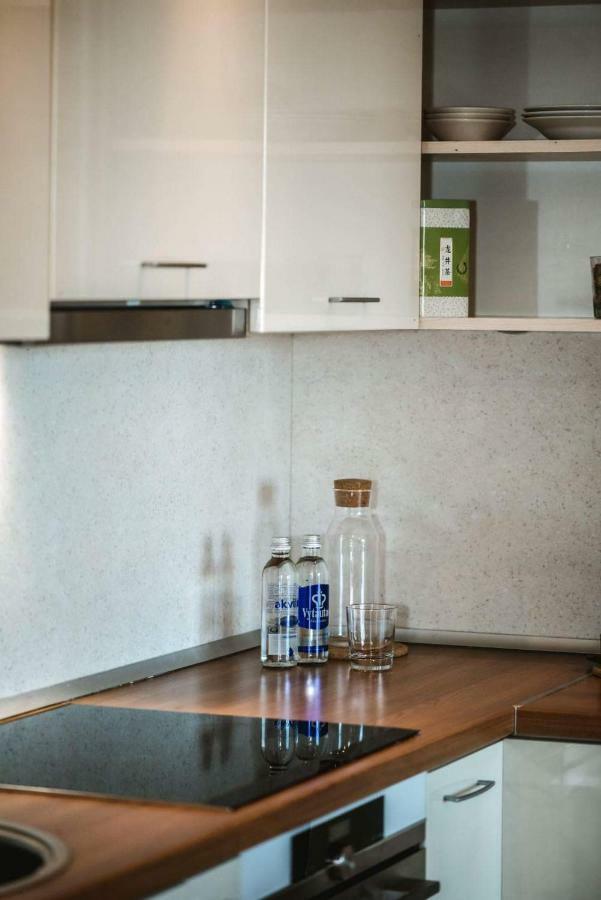 New Apartament Very Close To The City Centre 维尔纽斯 外观 照片